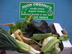 veg